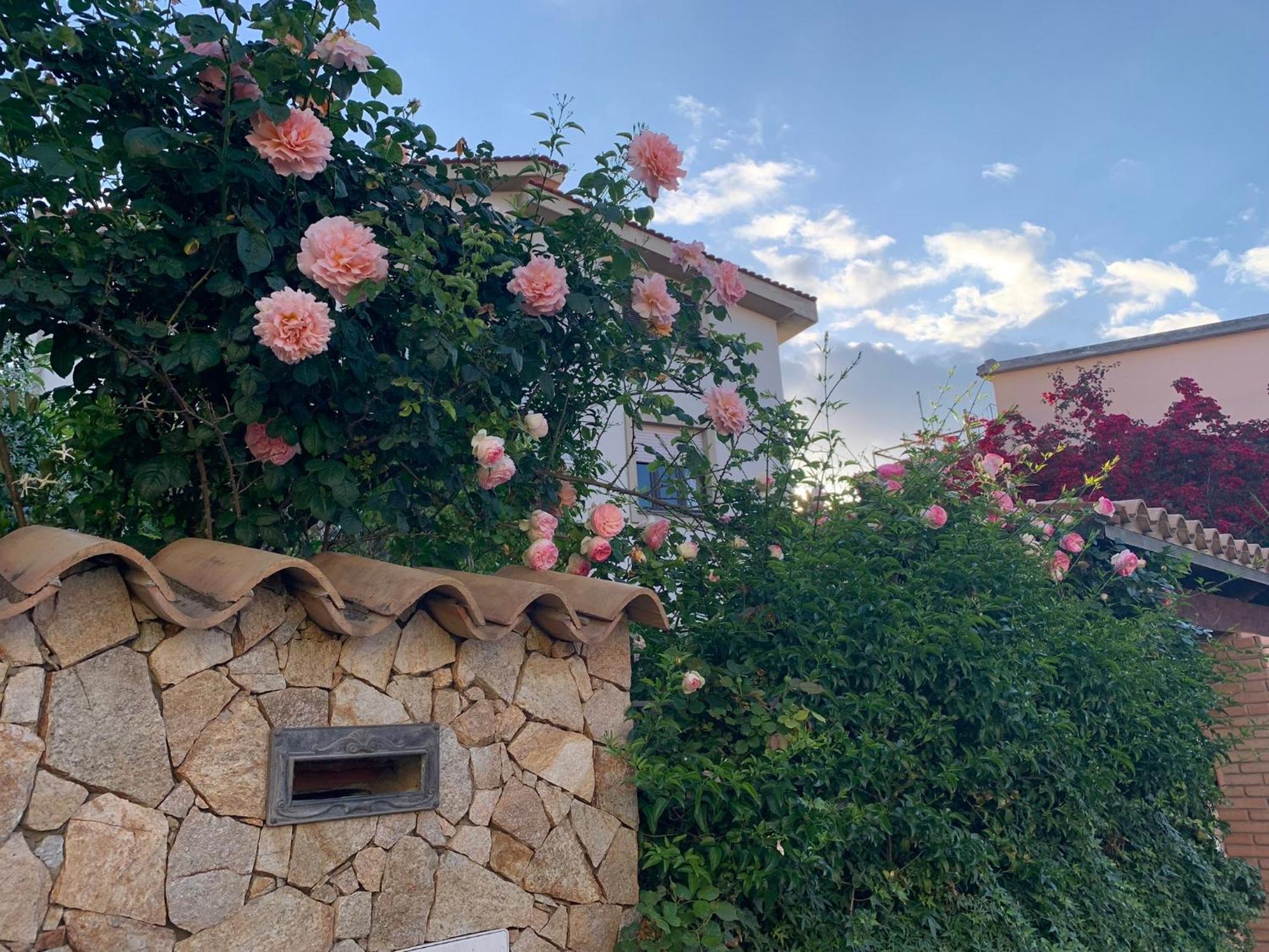 Villa Marco'S House Dolianova Exterior foto